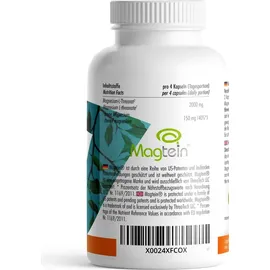 ProFuel Magnesium L-Threonat Kapseln 120 St.