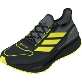 adidas Ultraboost 5 GTX Herren Carbon/Core Black/Grey Four 41