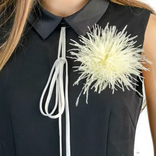 Stück Straußenfedern-Brosche für Kleidung, Damen, Federn, Anstecknadel, Hochzeitsschmuck, Haarschmuck, Kopfbedeckung, Brosche, Schuhe, Mode, Luxus, Beige, 1 Stück