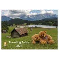 Calvendo Travelling Teddy 2026 (Wandkalender 2026 DIN A4 quer),