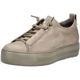 grey 40