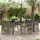 vidaXL Gartenmöbel-Set 5-tlg. Grau