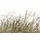 Queence Wandsticker QUEENCE "Sylt", beige, B:90cm H:60cm T:0,1cm, Folie, Wandtattoos, Selbstklebend, kinderleichte Anbringung