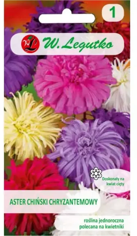Chrysanthemen-Mischung