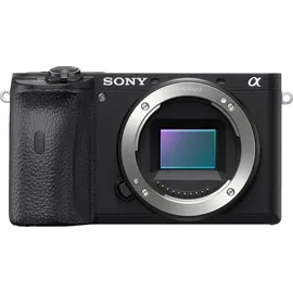 Sony Alpha 6600 + 18-135 mm G PZ OSS