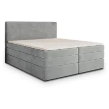 masseno MATERN 160 x 200 cm H2 Hellgrau