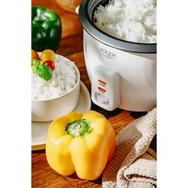 Adler AD 6418 Reiskocher Schwarz, Edelstahl 1000 Watt - Transparent