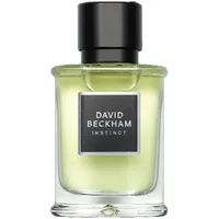 David Beckham Instinct Eau de Parfum 50 ml