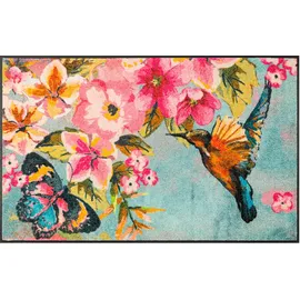 Wash+Dry Bloomibri 50 x 75 cm Blau/Rot