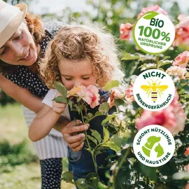 Solabiol Lecithin Rosen-Spray 1 l
