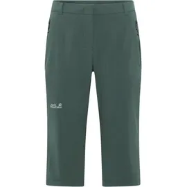 Jack Wolfskin Hikeout 3/4 Pants Regular Sago Palm 46