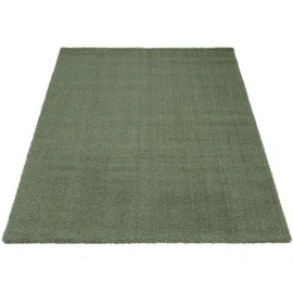 OCI DIE TEPPICHMARKE Soft Dream Hochflorteppich 200 x 200 cm Grün
