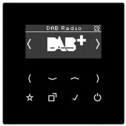 Jung DABLSSW Smart Radio DAB+, Serie LS, schwarz