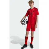 Adidas FC Bayern München 24/25 Heimshorts Kids Red 152