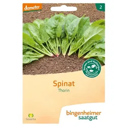 Spinat - Thorin