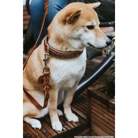 Hunter El Paso Hundehalsband cognac/schwarz 55