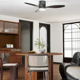 Homcom 115 cm Deckenventilator Schwarz