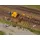 AUHAGEN Gleisbau-Set 41670 H0