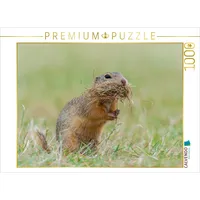 Calvendo Bild 6 Puzzle