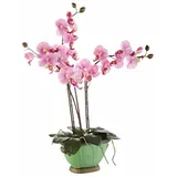 I.GE.A. Kunstpflanze Orchidee Phalaenopsis, I.GE.A., Höhe 60 cm rosa