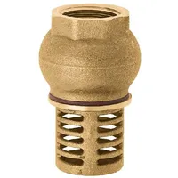 Karasto Armaturenfabrik Oehler GmbH Fußventil-Saugkorb G3/4" 18 x 8 x 13 cm gold