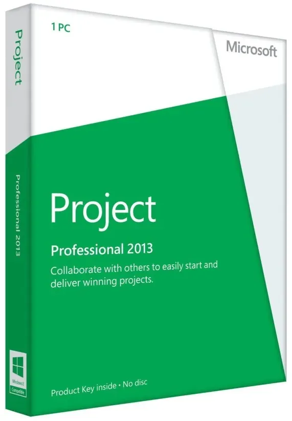 Microsoft Project 2013 Professional