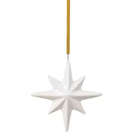 Villeroy & Boch like. by Villeroy & Boch Winter Glow Ornament Stern