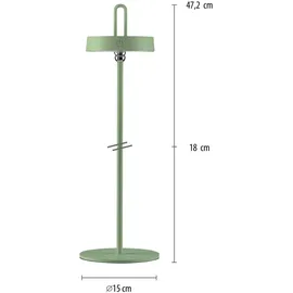 just light. Amag Grün 1 St.