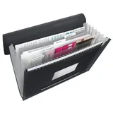 Esselte 624017 Fächermappe VIVIDA, A4 PP, 6 Fächer, schwarz