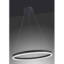 Paul Neuhaus TITUS 1-flg. 38,5W Ø 60 cm rund/grau