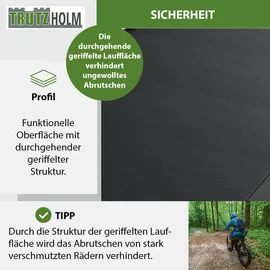 Trutzholm Auffahrrampe 680 kg