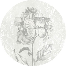 Komar Fototapete, Schwarz, Weiß, Papier, 125×125 cm, Tapeten Shop, Fototapeten