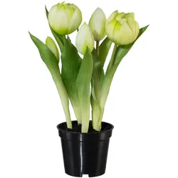 Kunstpflanze Tulpe I in Grün/Weiß
