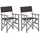 vidaXL Regiestuhl 55 x 56 x 88 cm grau/schwarz klappbar 2 St.