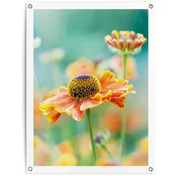 Reinders! Poster »Blume«, Outdoor für Garten oder Balkon Reinders! Farbe Bild(er): Orange