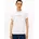 T-Shirt TOMMY STACK GRAPHIC TEE Gr L weiß Single Jersey Obermaterial 100 Baumwolle unifarben regular normal Rundhals eingesetzt abgesteppte Kante Shirts T-Shirt Regular