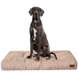 Bjird Hundematratze Hundekissen Grand - Hundebett für kleine, mittlere und große Hunde, wasserabweisend, weich und dick - made in EU Größe: M,L,XL,XXL beige XXL - 130x100