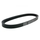 DAYCO Keilriemen L654 X B17,5 Antriebsriemen