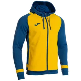 Joma Hoodie Gelb L