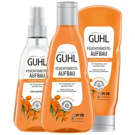 Guhl Feuchtigkeitsaufbau Shampoo für trockenes und sprödes Haar 250 ml
