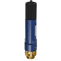 Riegler Hochleistungs-Sicherheitsventil, MS, G 2, Ansprechdruck 2,5 bar
