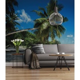 KOMAR Fototapete Coconut Bay - Größe 368 x 254 cm