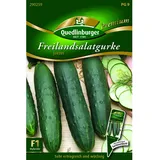 Quedlinburger Freiland Salatgurke ''Jazzer''