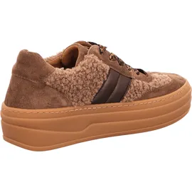 Gabor Schnürschuhe in braun | Gr.: 37