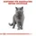 Royal Canin Adult British Shorthair 10 kg