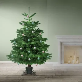 ECD Germany Weihnachtsbaumständer Dunkelgrün, Metall, Rund, 42x21x42 cm,