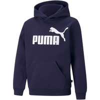 Puma Sweatshirt/Hoodie Kapuzenpullover