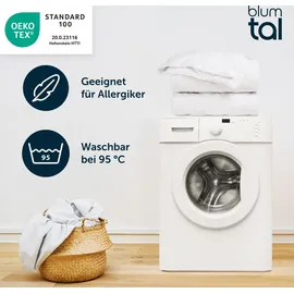 Blumtal Ganzjahresdecke 135x200 cm im 2er Set - Alljahresdecke 135x200 cm - Bettenset 135x200 2 teilig Füllmenge 300 gsm - Weiß