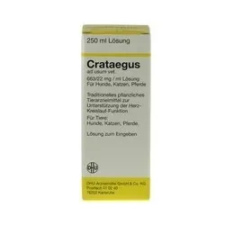 Crataegus ad usum vet. 50 ml Lösung 250 ml Dilution