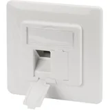 Digitus Leerdose mit Frontplatte für 2x Keystone Module